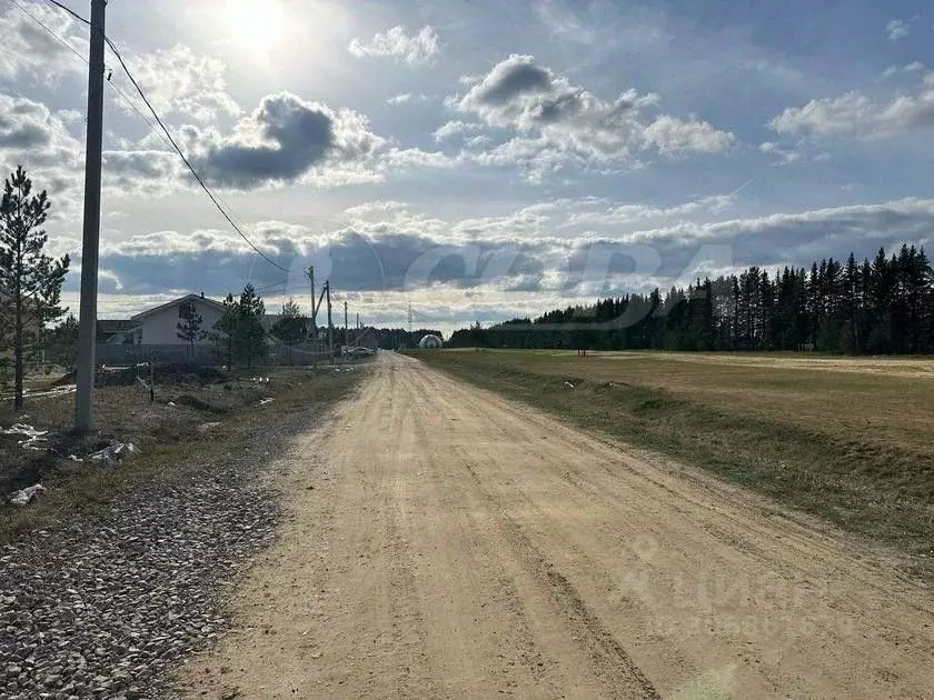 Участок в Тюменская область, Тюменский район, д. Криводанова Трактовая ... - Фото 1