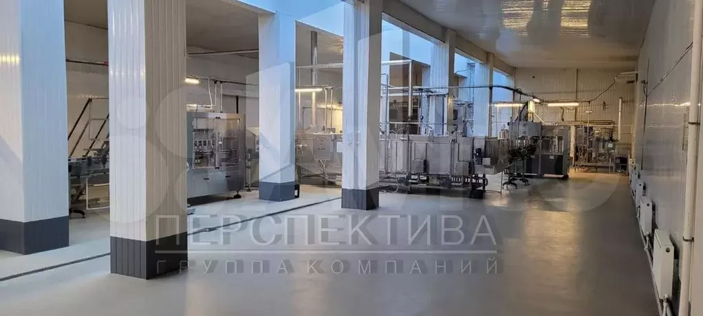 Продам производственное помещение, 100000 м - Фото 0