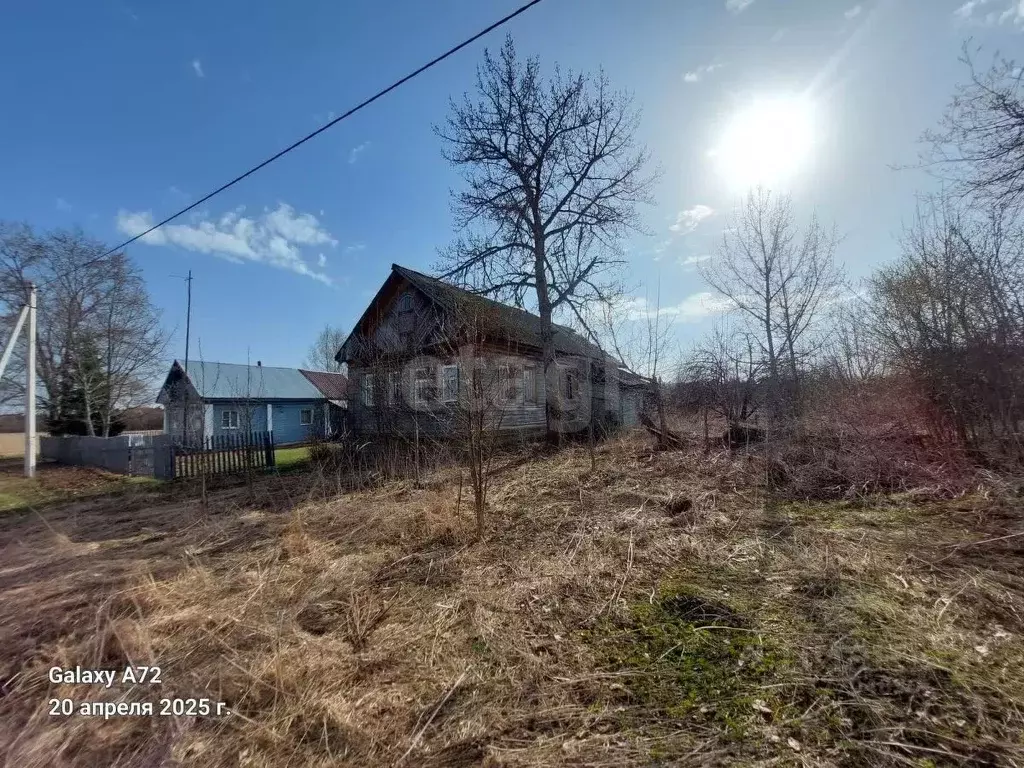 Участок в Вологодская область, Кадуйский муниципальный округ, д. ... - Фото 1