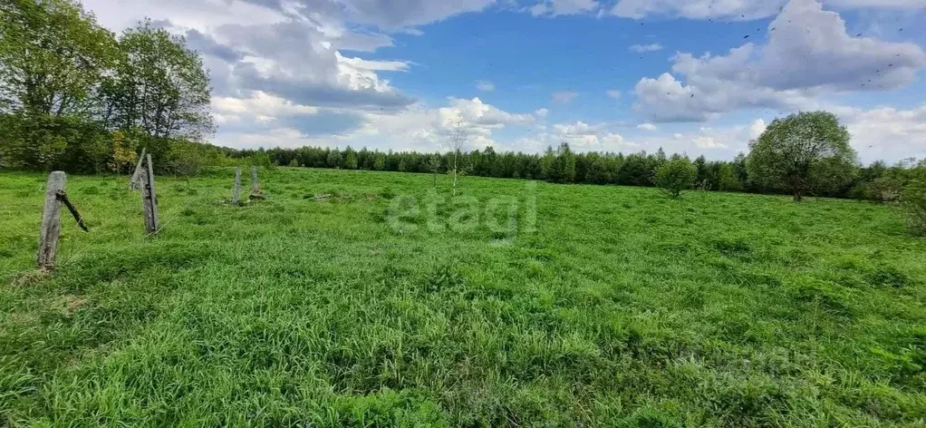 Участок в Владимирская область, Судогодский район, Мошокское ... - Фото 1