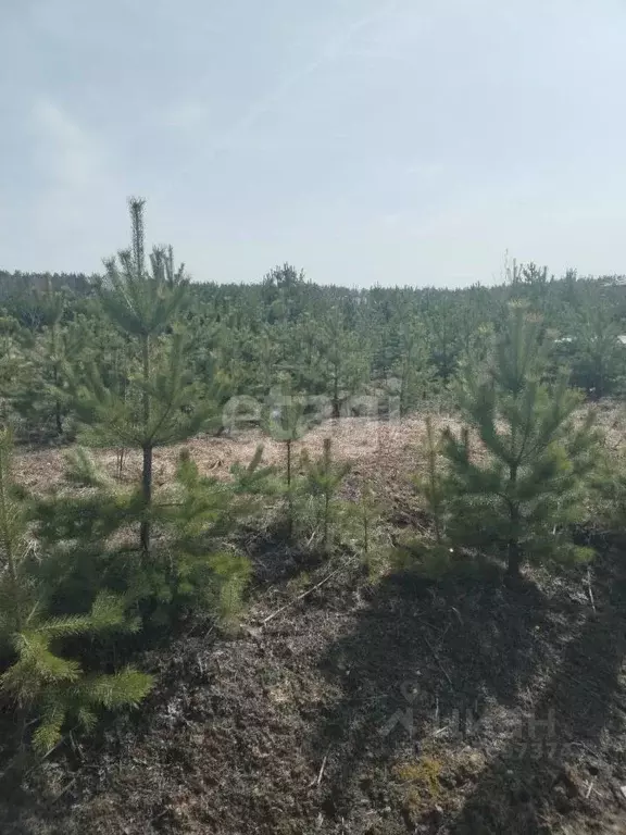 Участок в Свердловская область, Екатеринбург муниципальное ... - Фото 0