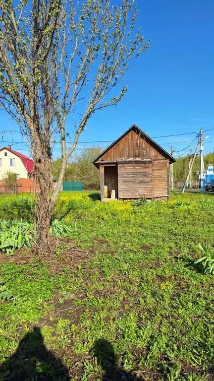 Участок в Московская область, Ступино городской округ, Стекло СНТ 40 ... - Фото 1