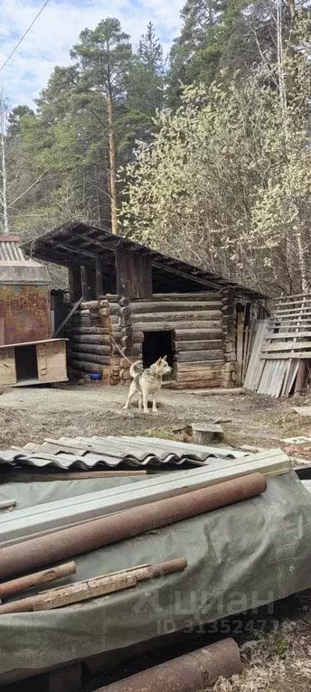Участок в Свердловская область, Екатеринбург Вишня КС, 15 (7.3 сот.) - Фото 1