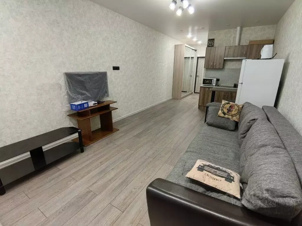 Студия Московская область, Старая Купавна Богородский городской округ, ... - Фото 1