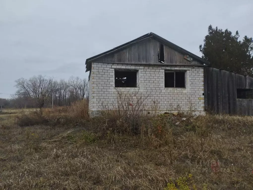 Участок в Волгоградская область, Иловля рп ул. Заречная (12.0 сот.) - Фото 1