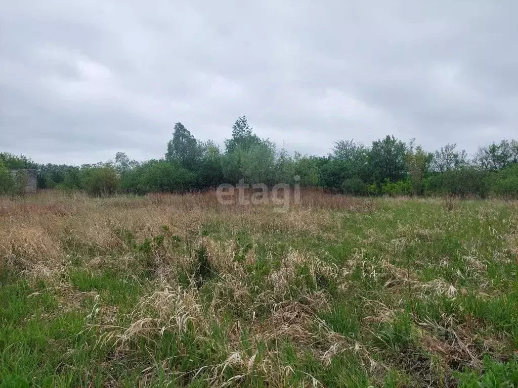 Участок в Воронежская область, Новоусманский район, Усманское 1-е ... - Фото 0
