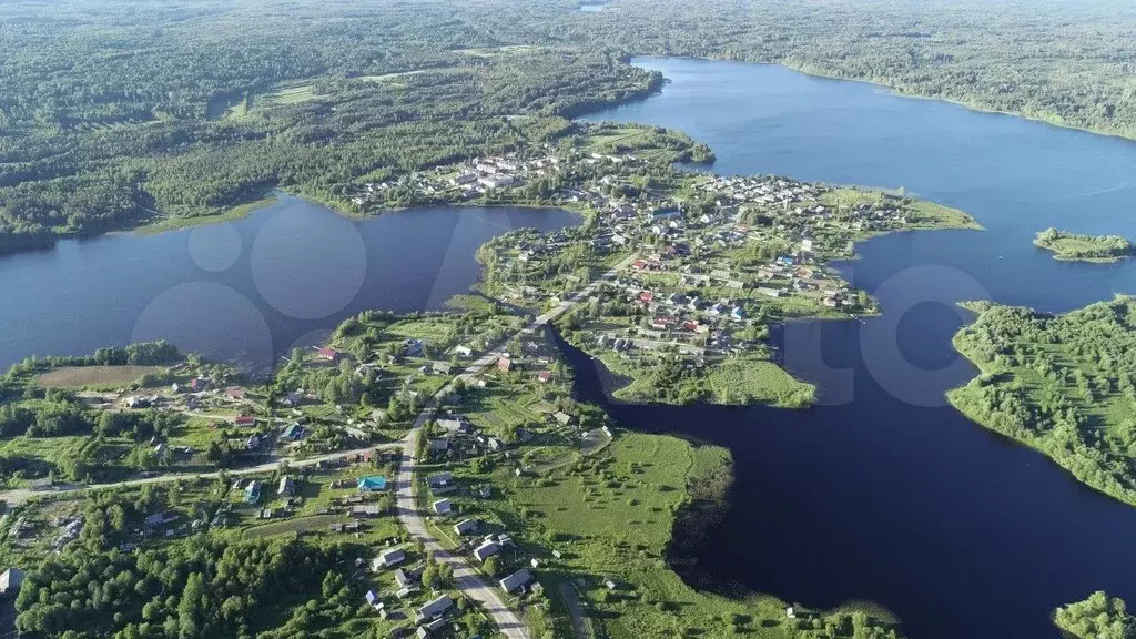 Форелевое хозяйство, 2000 м - Фото 0