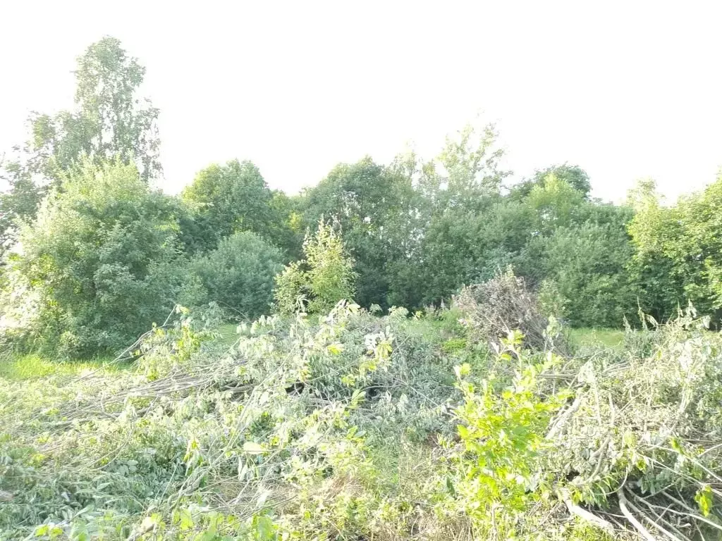 Участок в Московская область, Шаховская муниципальный округ, д. ... - Фото 2