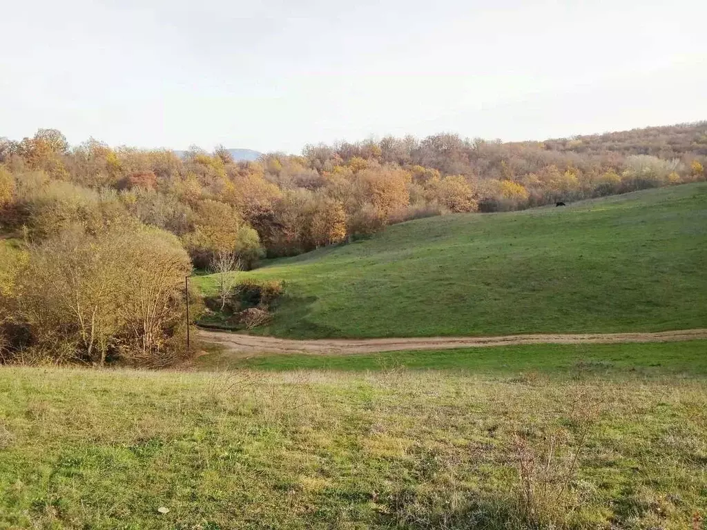 Участок в Крым, Бахчисарайский район, Голубинское с/пос, с. Нижняя ... - Фото 1