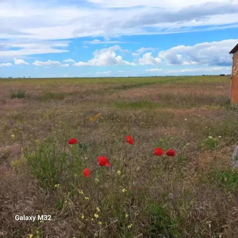 Участок в Крым, Сакский район, с. Молочное ул. Пионерская (6.0 сот.) - Фото 2
