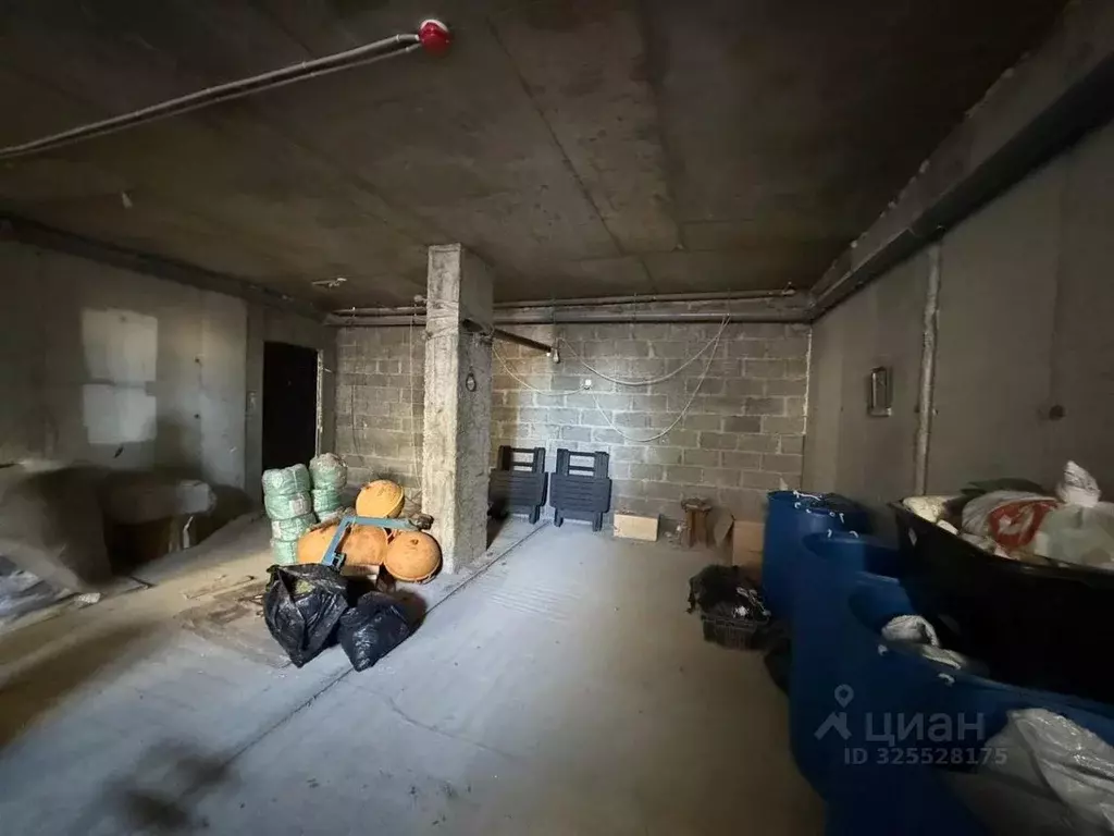 Помещение свободного назначения в Краснодарский край, Анапа ... - Фото 1