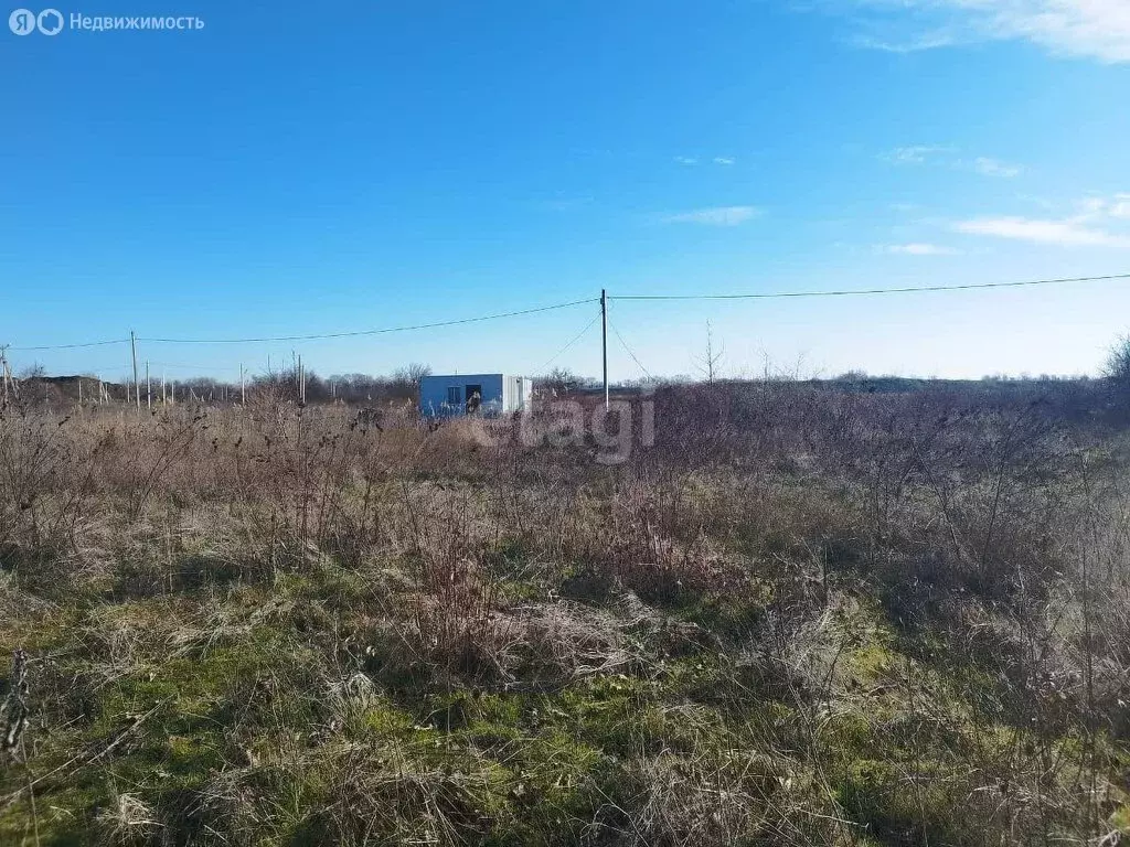 Участок в Краснодар, дачное некоммерческое товарищество Дружба, улица ... - Фото 1