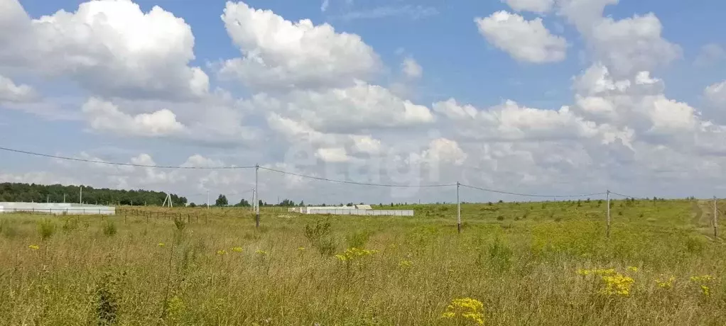 Участок в Тульская область, Тула 38-й кв-л,  (12.0 сот.) - Фото 1