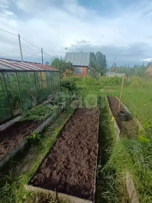 Дом в Вологодская область, Вологда Керамик-2 садовое товарищество, 242 ... - Фото 2