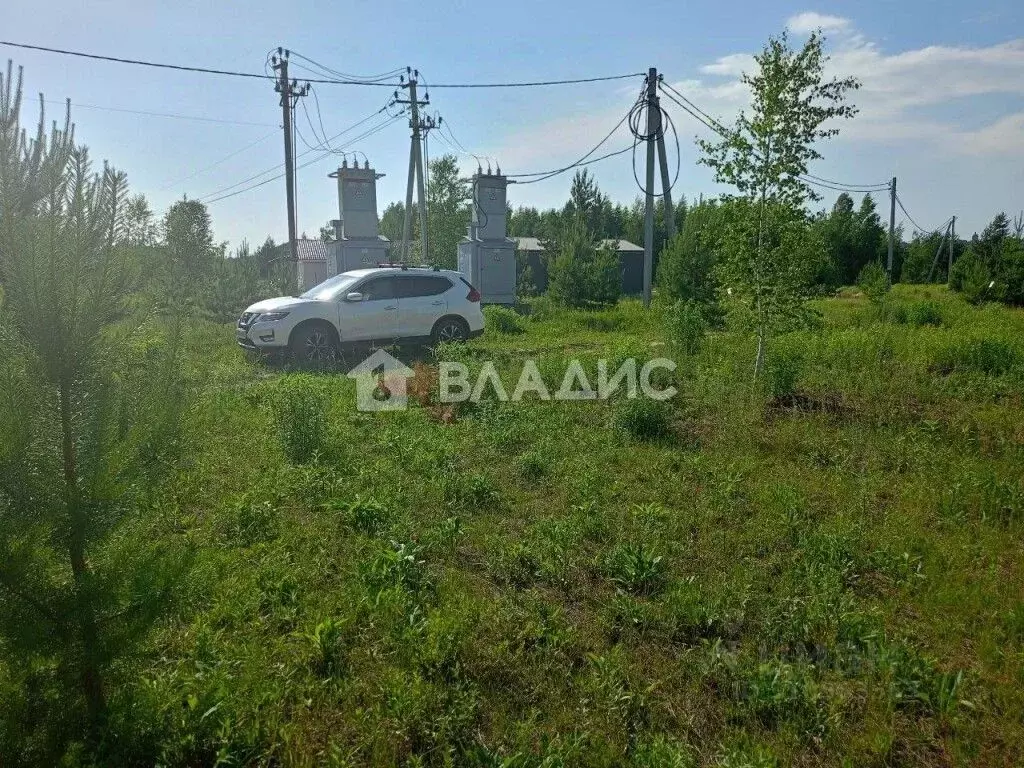 Участок в Владимирская область, Суздальский район, Боголюбовское ... - Фото 0