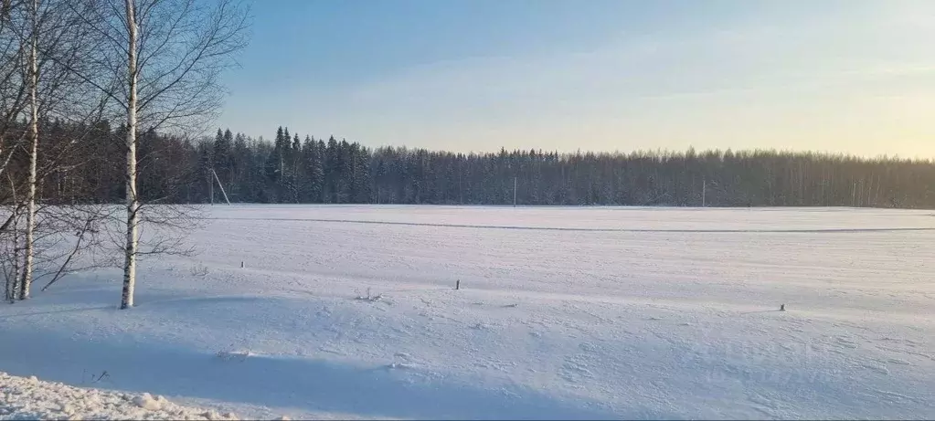 Участок в Московская область, Истра городской округ, д. Зорино  (9.0 ... - Фото 1