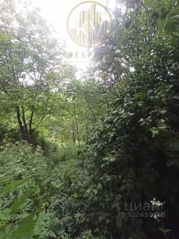 Участок в Ставропольский край, Кисловодск городской округ, пос. ... - Фото 2