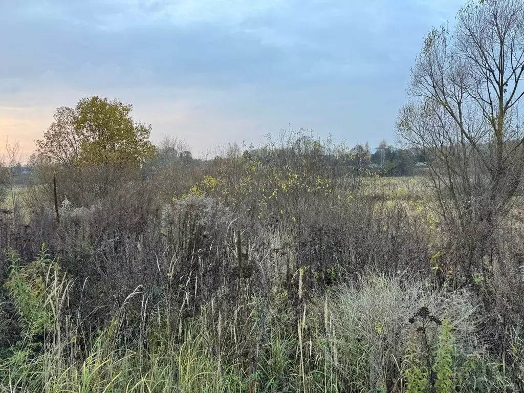 Участок в Московская область, Ногинск Богородский городской округ, ул. ... - Фото 2