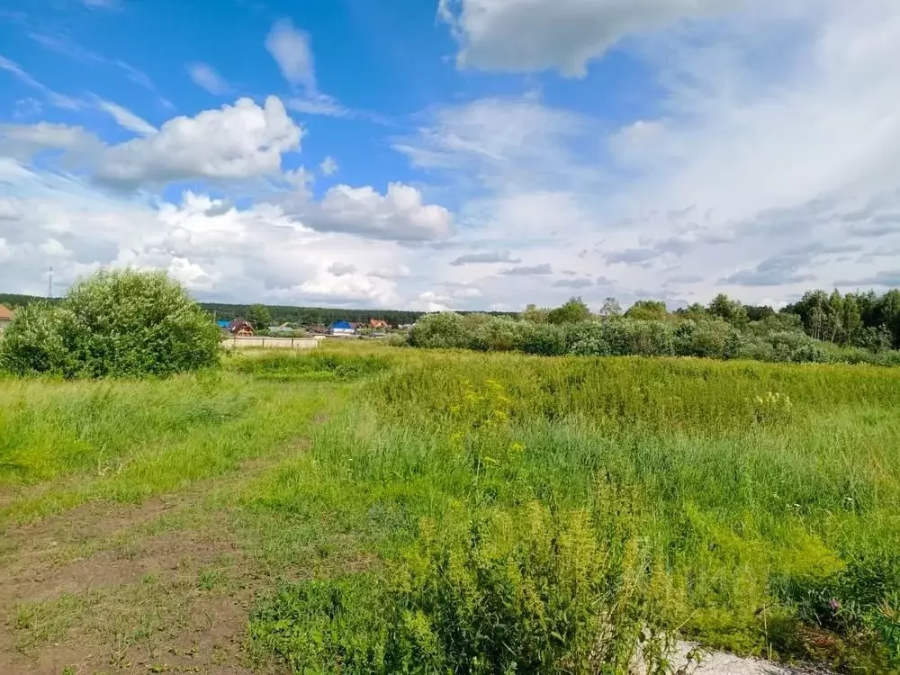 Участок в Свердловская область, Белоярский муниципальный округ, пос. ... - Фото 1