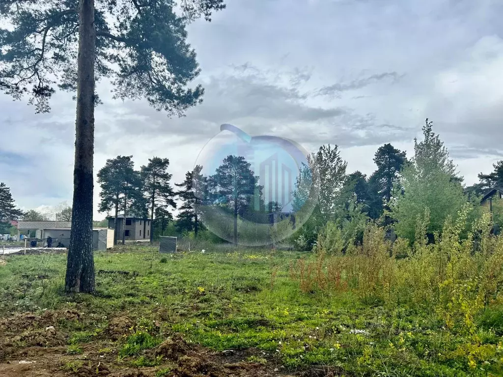 Участок в Московская область, Ленинский городской округ, д. Суханово, ... - Фото 1