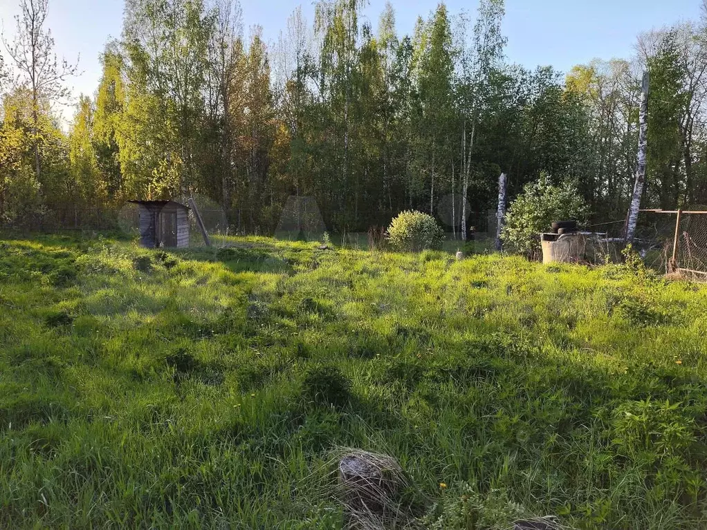Участок 9 сот. (ИЖС) - Фото 1