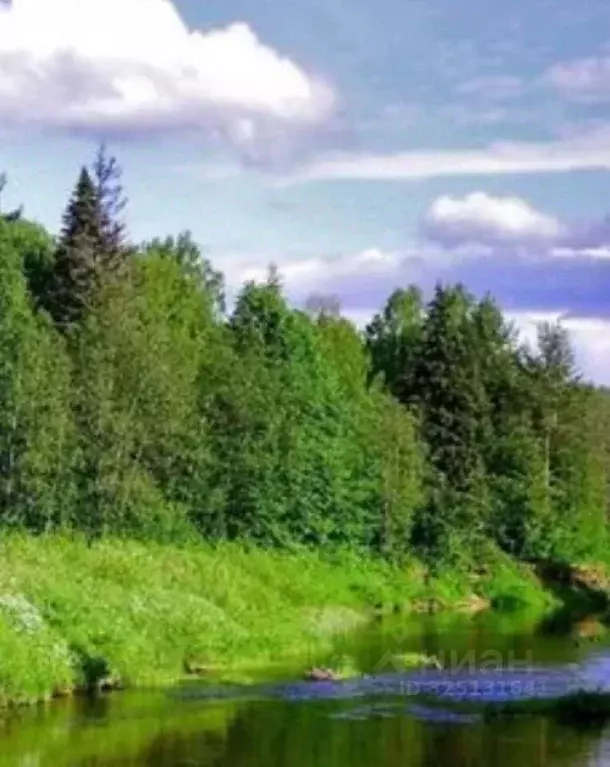 Участок в Московская область, Дмитровский муниципальный округ, д. ... - Фото 2