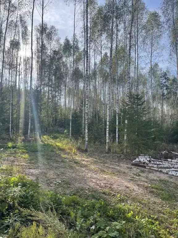 Участок в Московская область, Сергиево-Посадский городской округ, с. ... - Фото 1