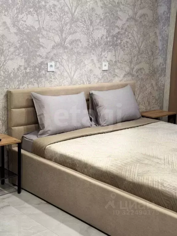 Студия Адыгея, Майкоп ул. К.А. Васильева, 2к2 (19.7 м) - Фото 1