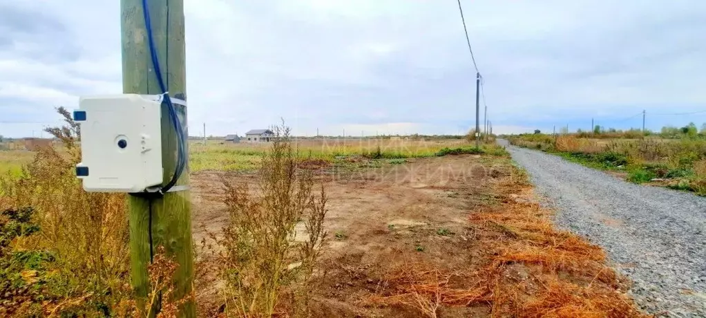 Участок в Тюменская область, Тюмень Большое Царево-1 СНТ, ул. Садовая ... - Фото 1