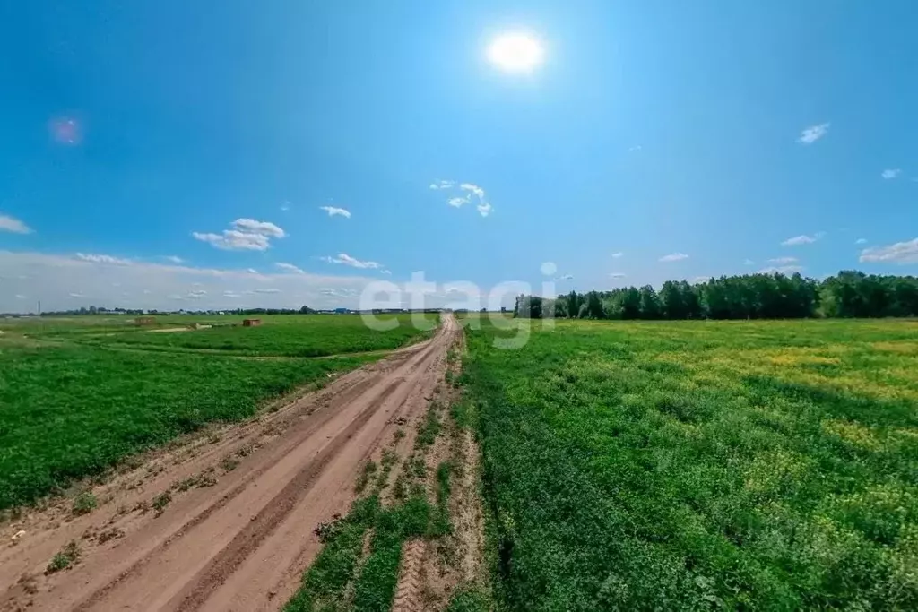 Участок в Тюменская область, Тюменский муниципальный округ, ... - Фото 2