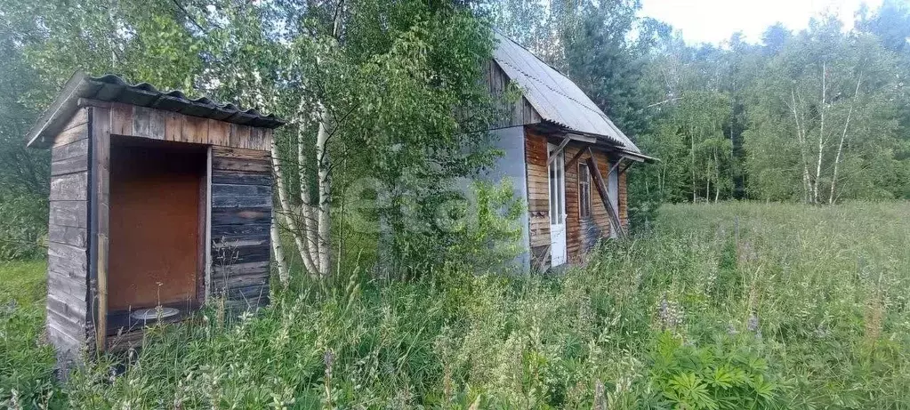 Дом в Владимирская область, Петушинский муниципальный округ, Боровиха ... - Фото 1