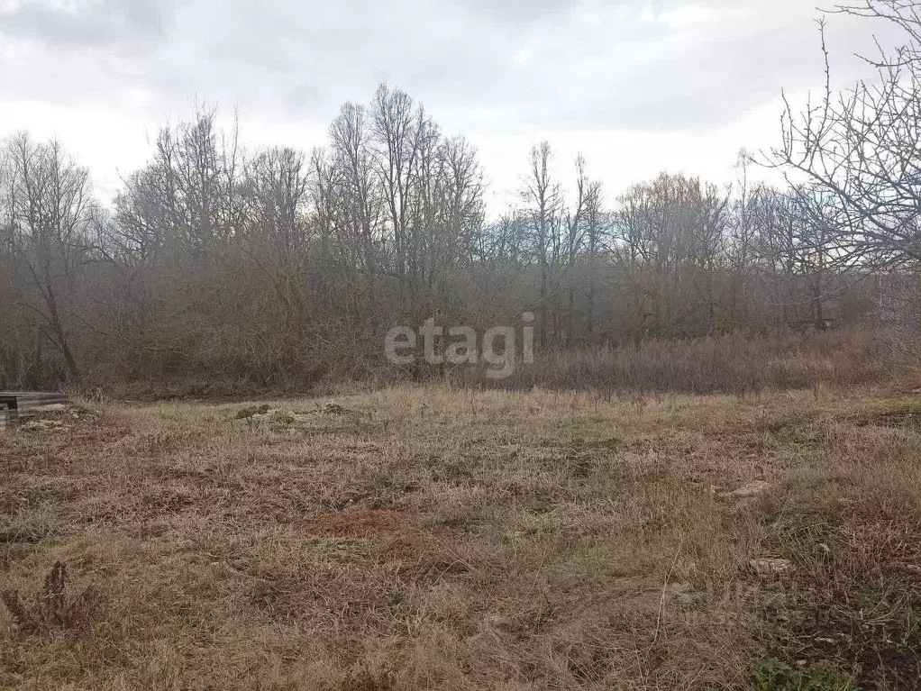 Участок в Липецкая область, Краснинский муниципальный округ, с. ... - Фото 1