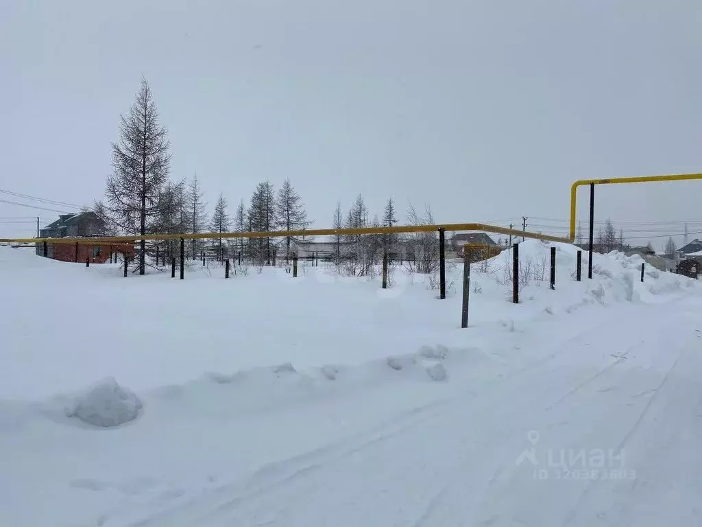 Участок в Ямало-Ненецкий АО, Новый Уренгой Северный Берег ДНТ, 40 ... - Фото 0