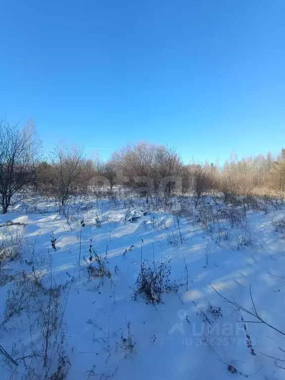 Участок в Амурская область, Благовещенск  (6.0 сот.) - Фото 2