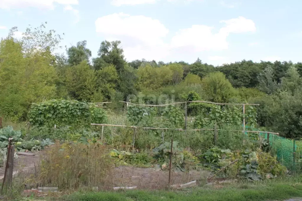 Участок в Белгородская область, Старооскольский городской округ, с. ... - Фото 1