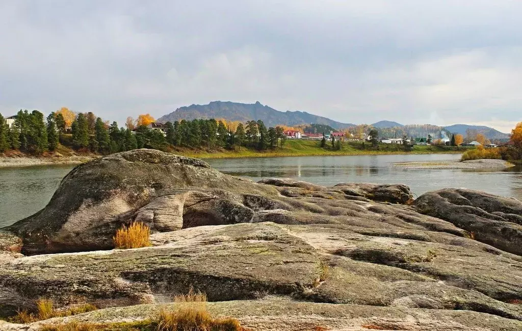 Участок в Алтай, Турочакский район, с. Турочак Солнечная ул., 29 (22.0 ... - Фото 1