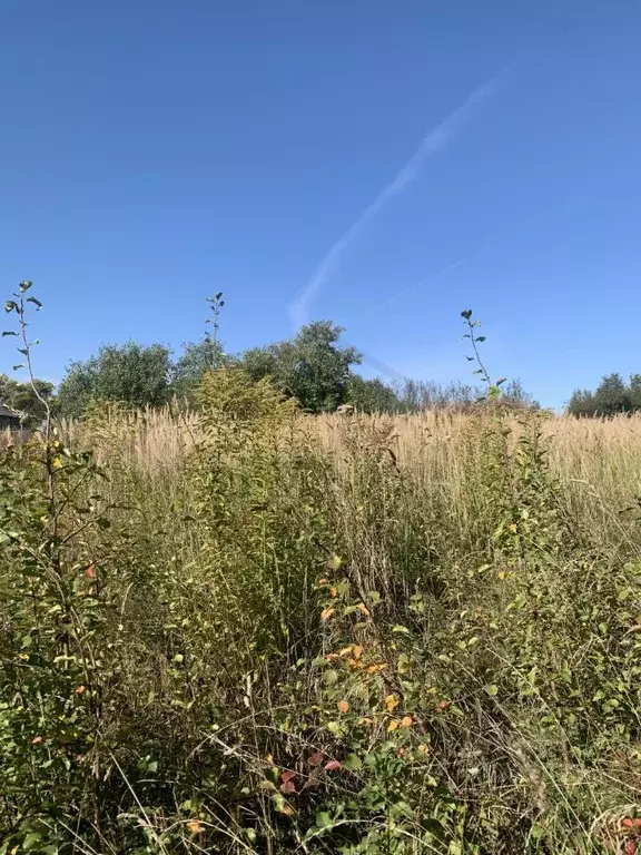 Участок в Калужская область, Ферзиковский район, Бебелевский ... - Фото 2