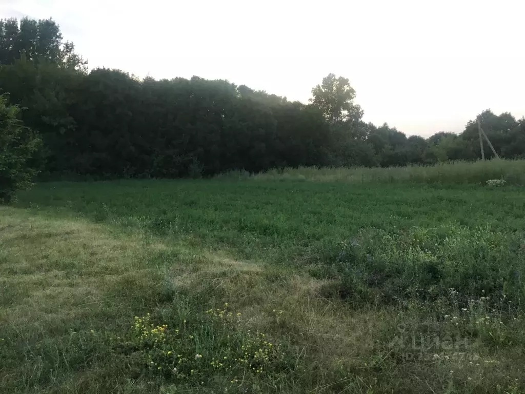 Участок в Воронежская область, Анна пгт ул. Дзержинского (12.0 сот.) - Фото 2