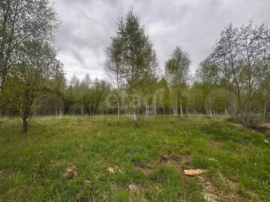 Участок 12,27 га (ИЖС) - Фото 0