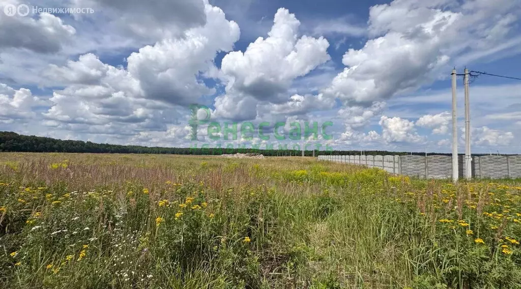 Участок в Мылинское сельское поселение, деревня Фроловка (24 м) - Фото 1