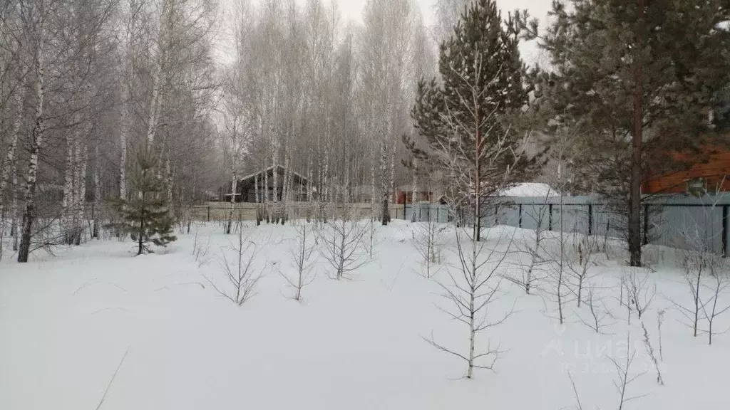 Участок в Тюменская область, Нижнетавдинский муниципальный округ, ... - Фото 2