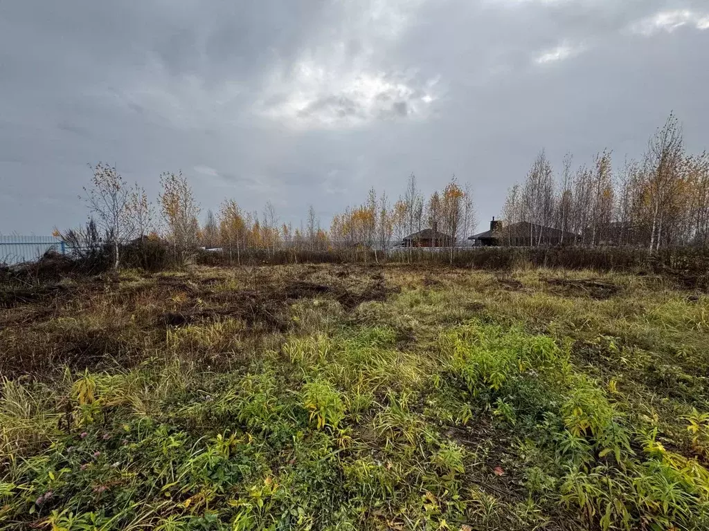 Участок в Нижегородская область, Нижний Новгород Михальчиково кп, ул. ... - Фото 2
