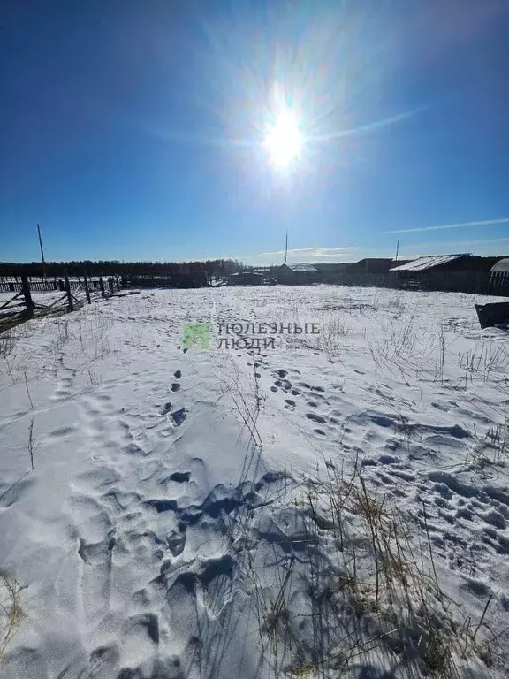Участок в Забайкальский край, Читинский район, с. Карповка Ключевая ... - Фото 2