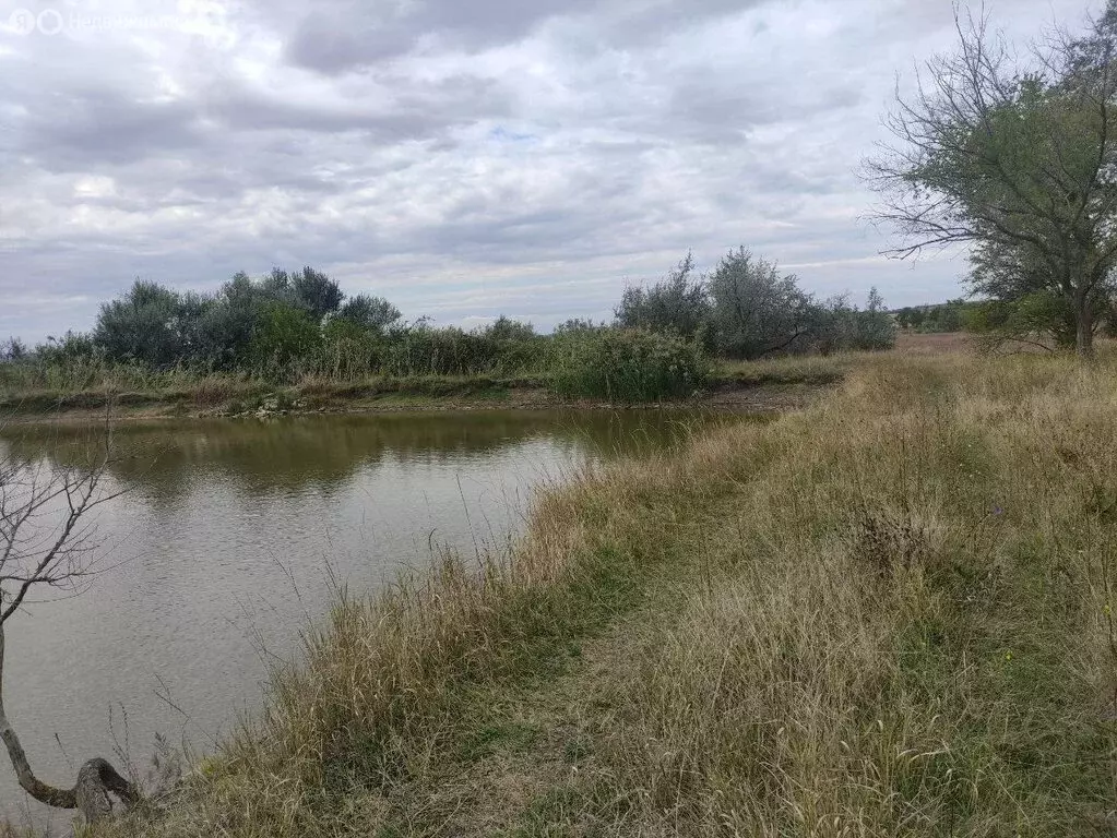 Участок в Рождественская, улица Ленина, 88 (1600 м) - Фото 0