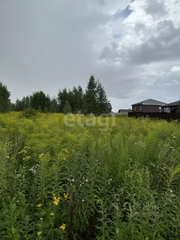 Участок в Тульская область, Тула муниципальное образование, д. Ямны  ... - Фото 1