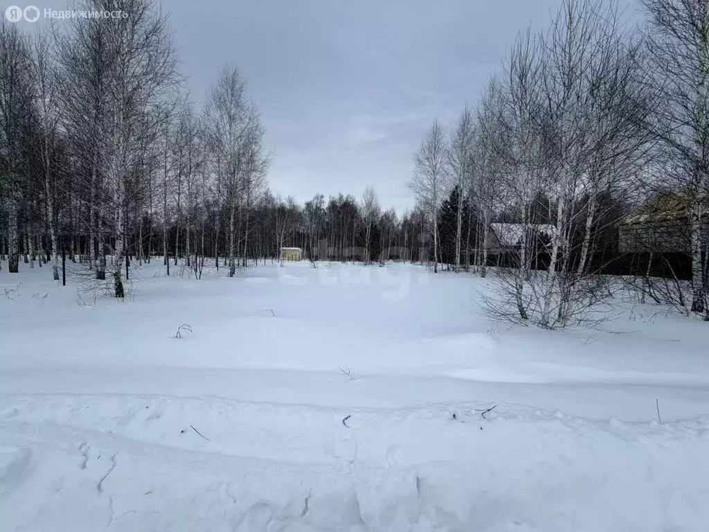 Участок в Курганская область, Кетовский муниципальный округ, ДНТ Южный ... - Фото 1