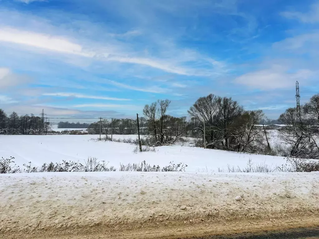 Участок в Московская область, Домодедово городской округ, с. Лобаново ... - Фото 1