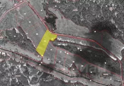 Участок в Новгородская область, Валдайский район, д. Сухая Ветошь  ... - Фото 1