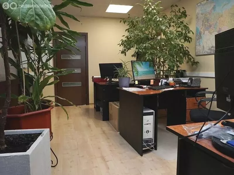 Офис (46.3 м) - Фото 2