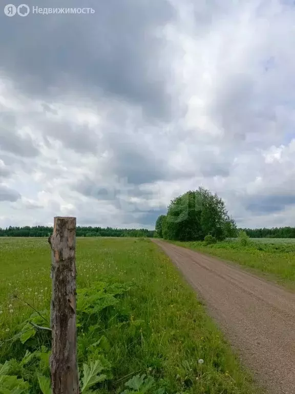 Участок в Республика Коми, муниципальный район Сыктывдинский, ... - Фото 0